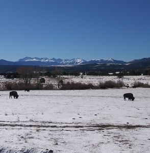 Meet your Posher, Scott